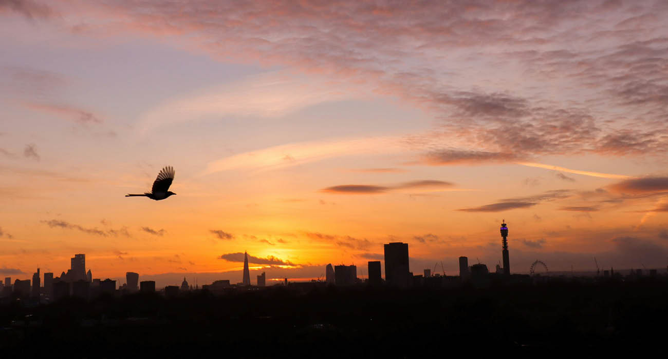 The Best Sunset & Sunrise Spots in the UK